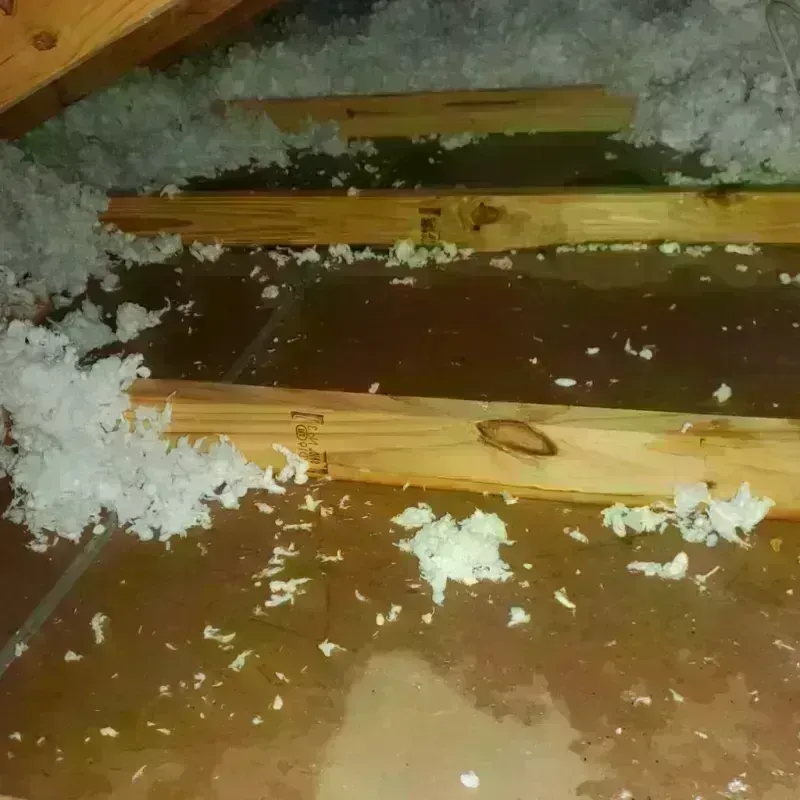 Attic Water Damage in Menahga, MN