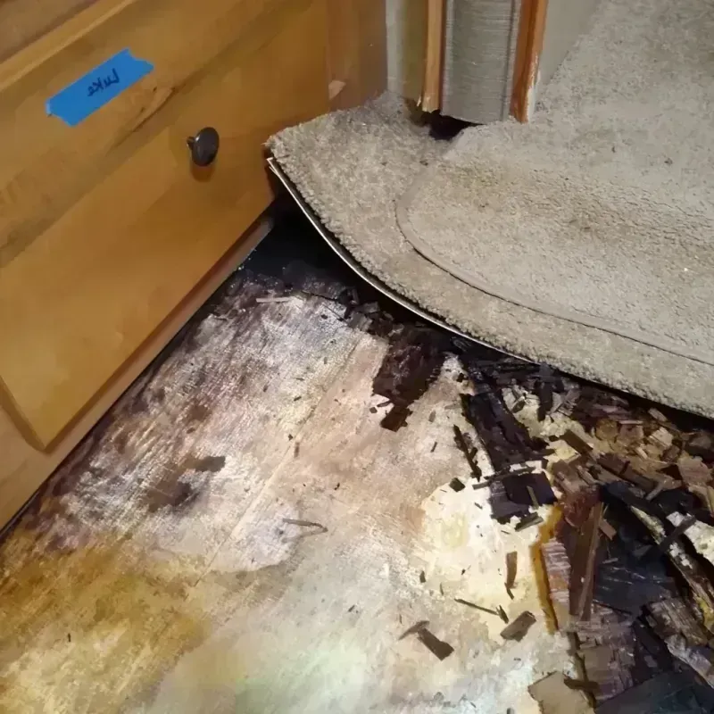 Best Wood Floor Water Damage Service in Menahga, MN